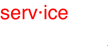 serv·ice /ˈsərvəs/ noun 1. the action of helping or doing work for someone.